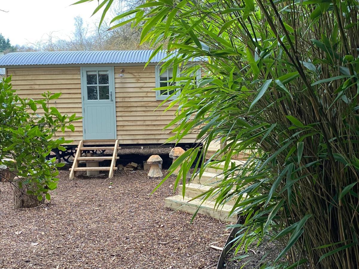 Chez Maurice Luxury Shepherds Hut With Bath And Hot Tub Kelling Luaran gambar